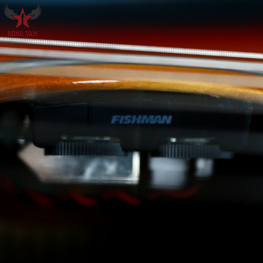 cordoba-fusion5-mahogany-eq