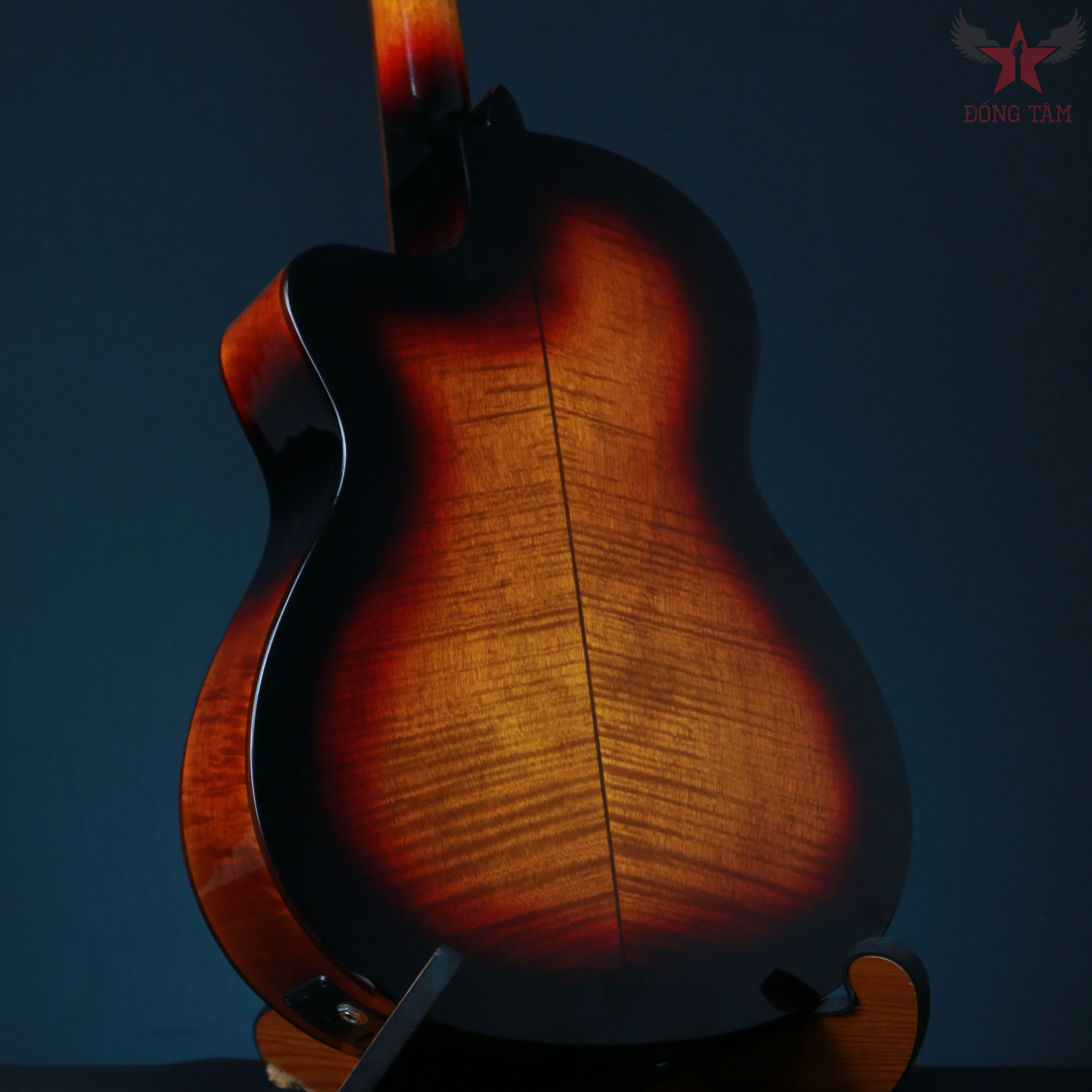 cordoba-fusion5-maple-chinh-hang
