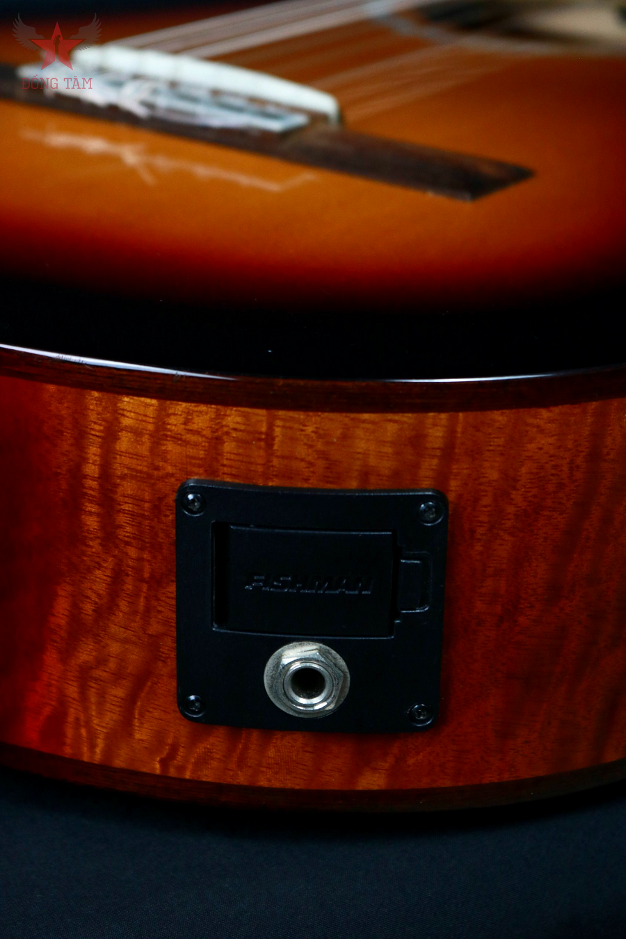 cordoba-fusion5-maple-eq