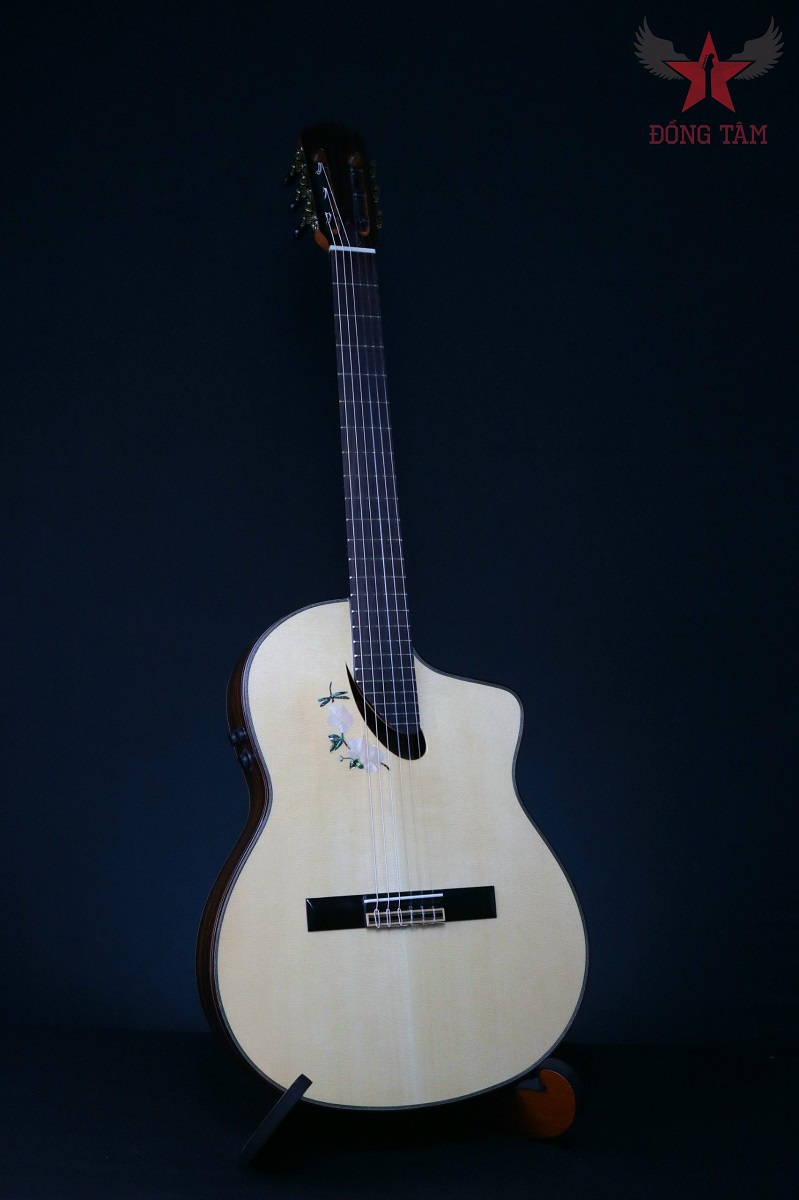 guitar-monleon-nmi-cg-10s