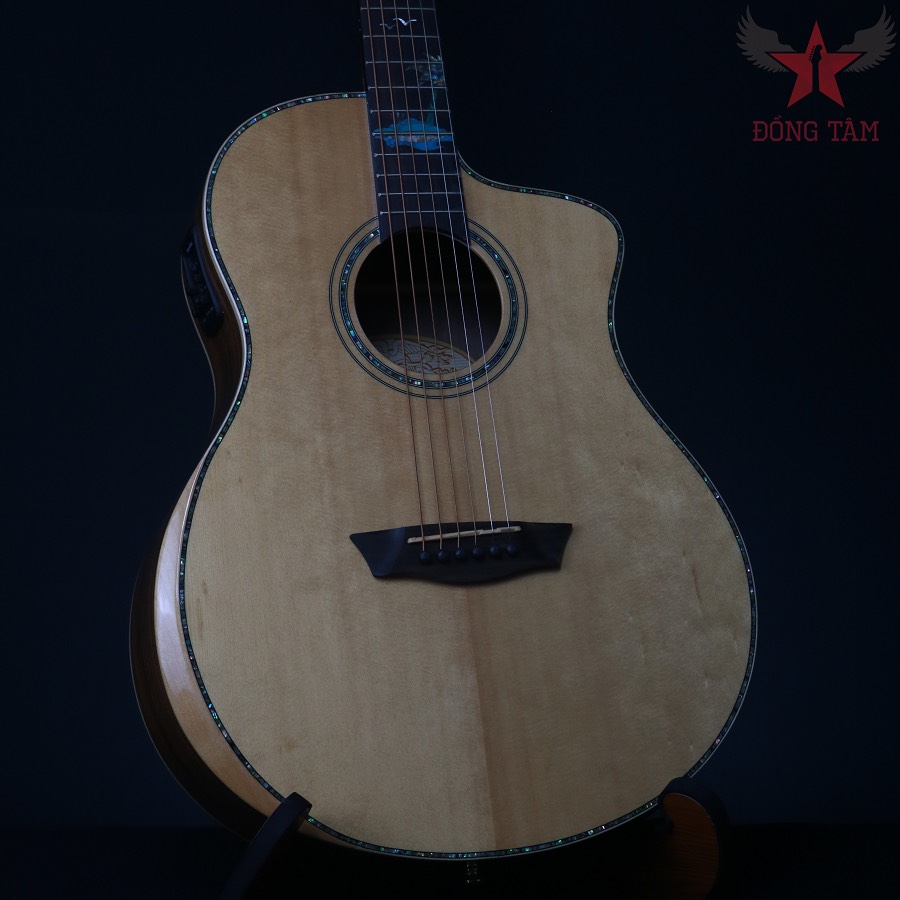guitar-washburn-bts-56csce