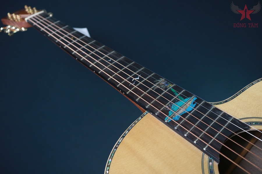 guitar-washburn-bts-56csce