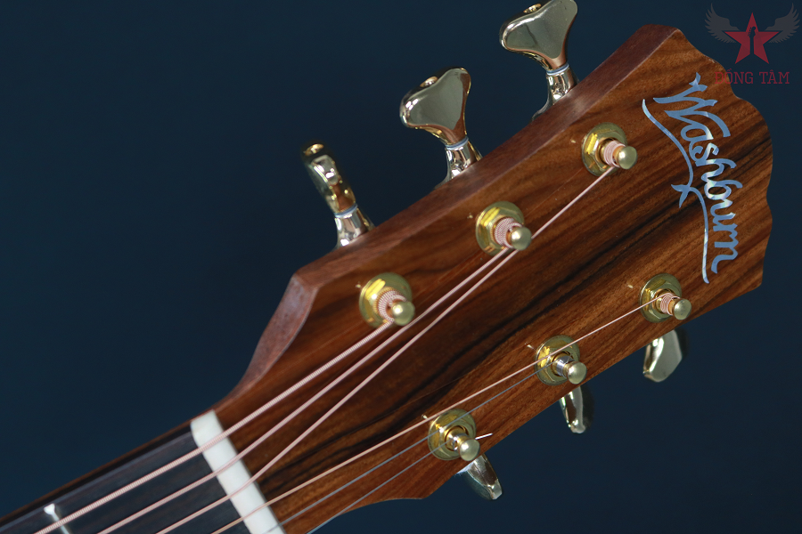 acoustic-washburn-bts24