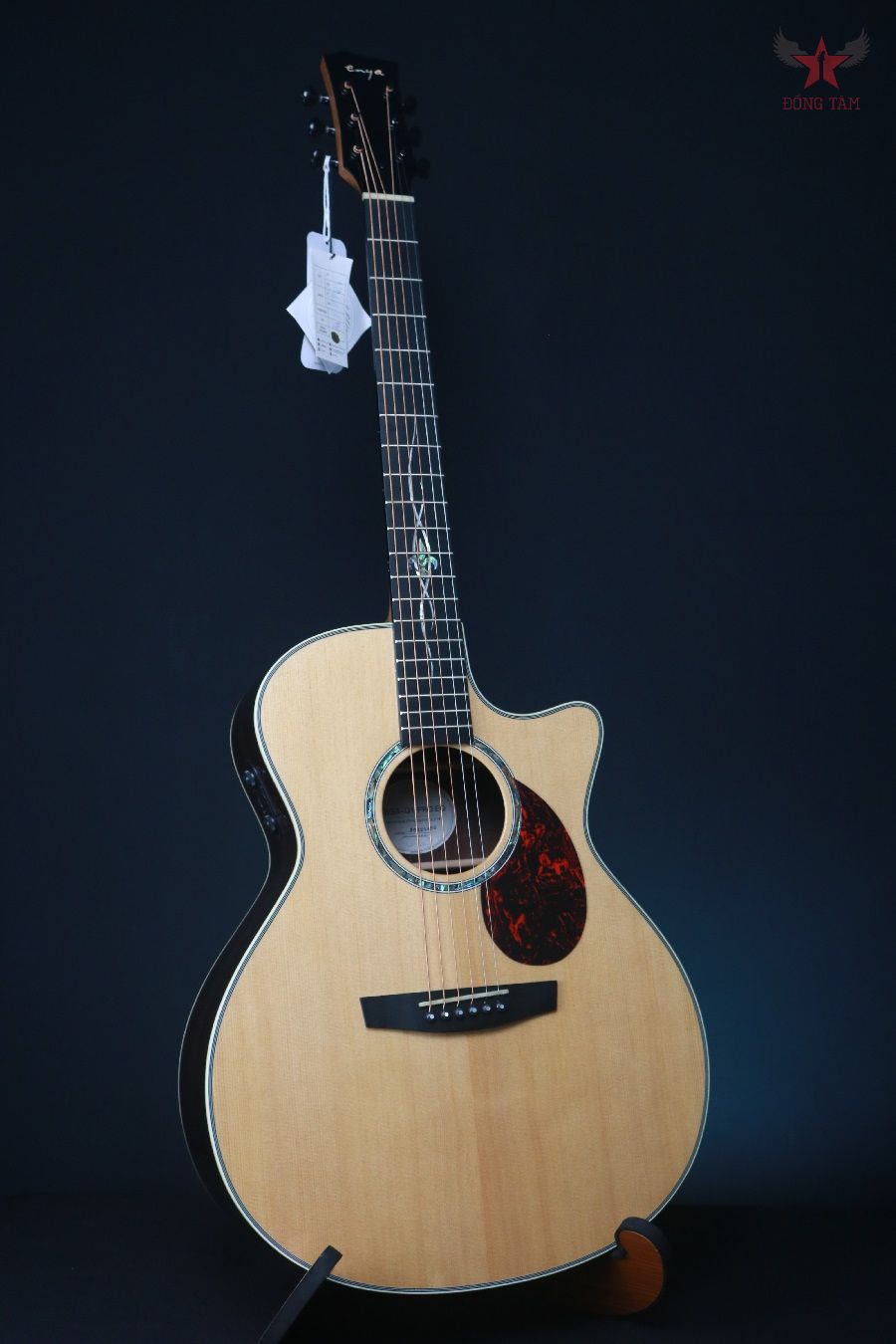 guitar-enya-ea-q1-pro