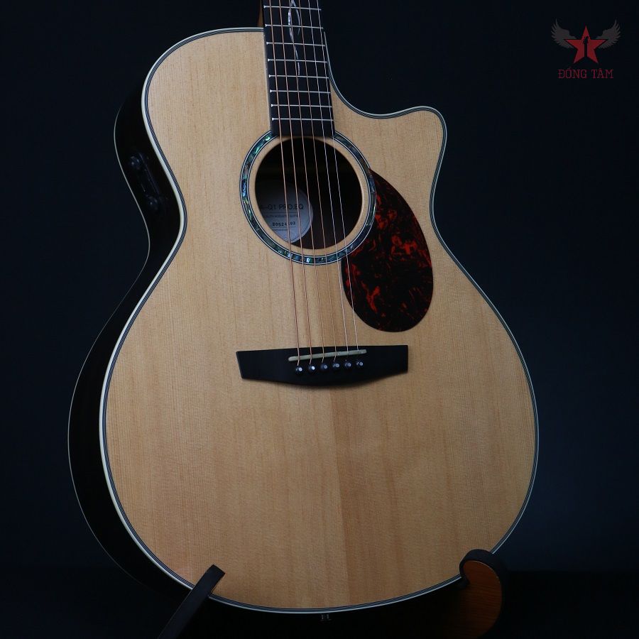 guitar-enya-eaq1pro-ea