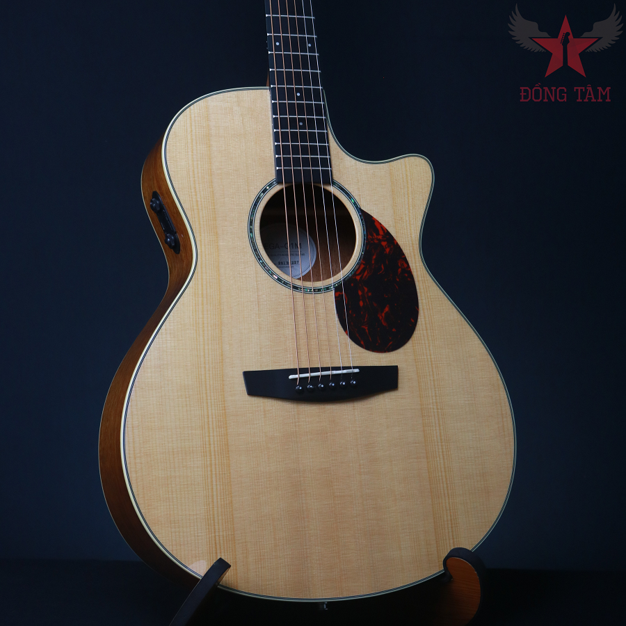enya-ega-q1m-guitar