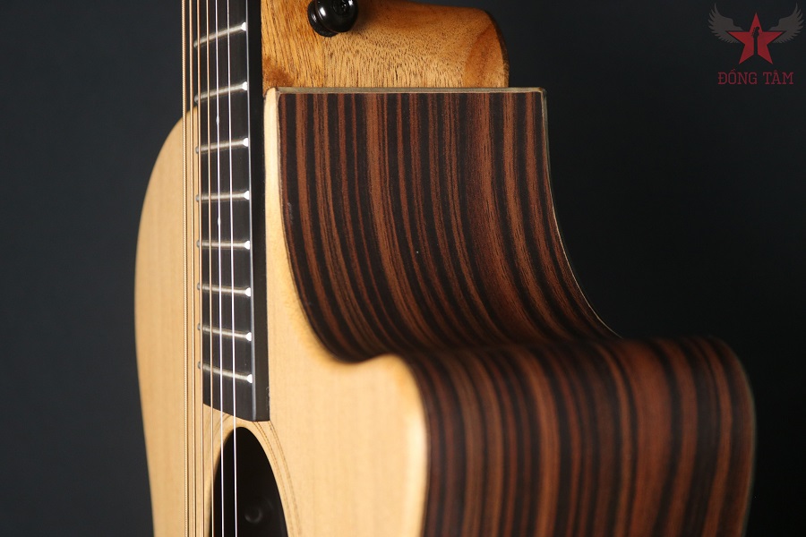 guitar enya eag X1 Pro