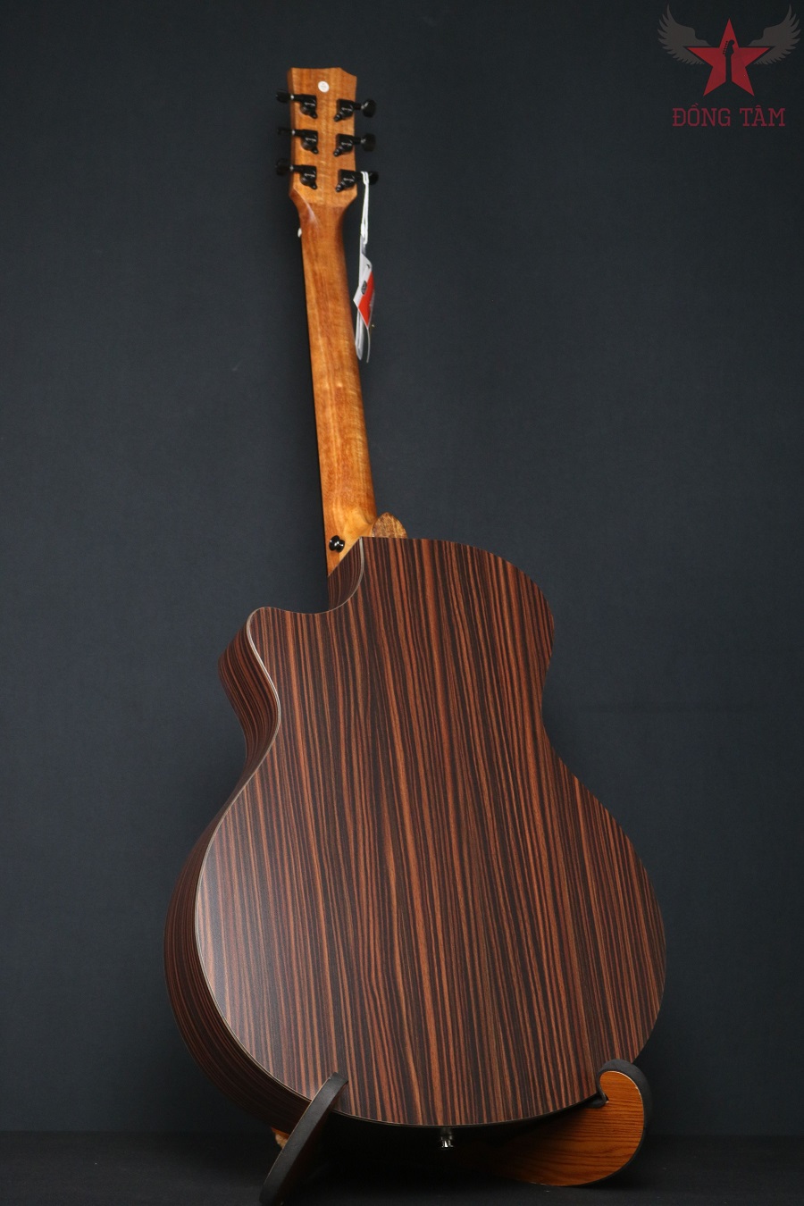 Guitar enya eag x1 pro