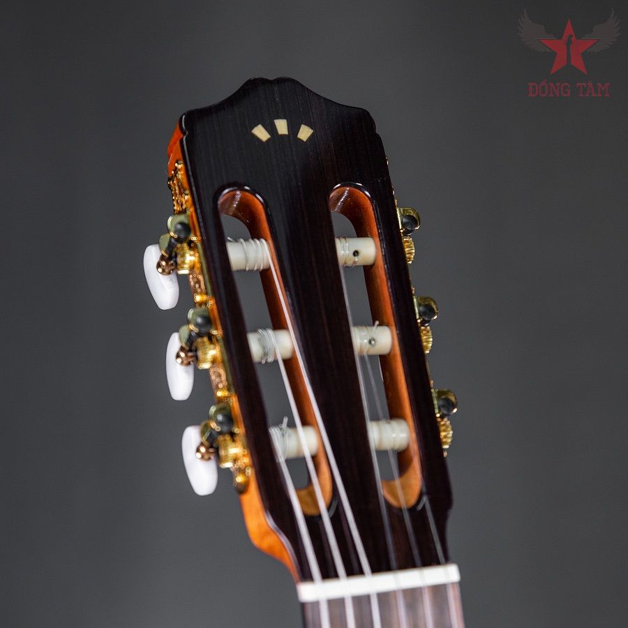 can-guitar-cordoba-c5-sp