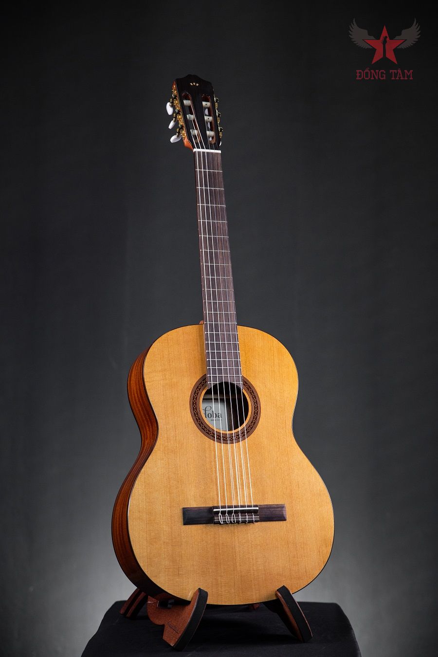 dan-guitar-cordoba-c5cd