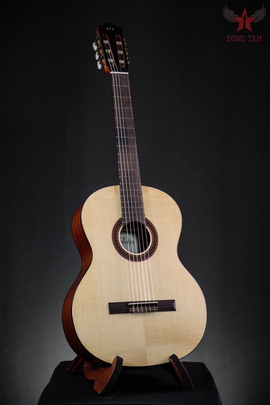 gia-guitar-cordoba-c5-sp