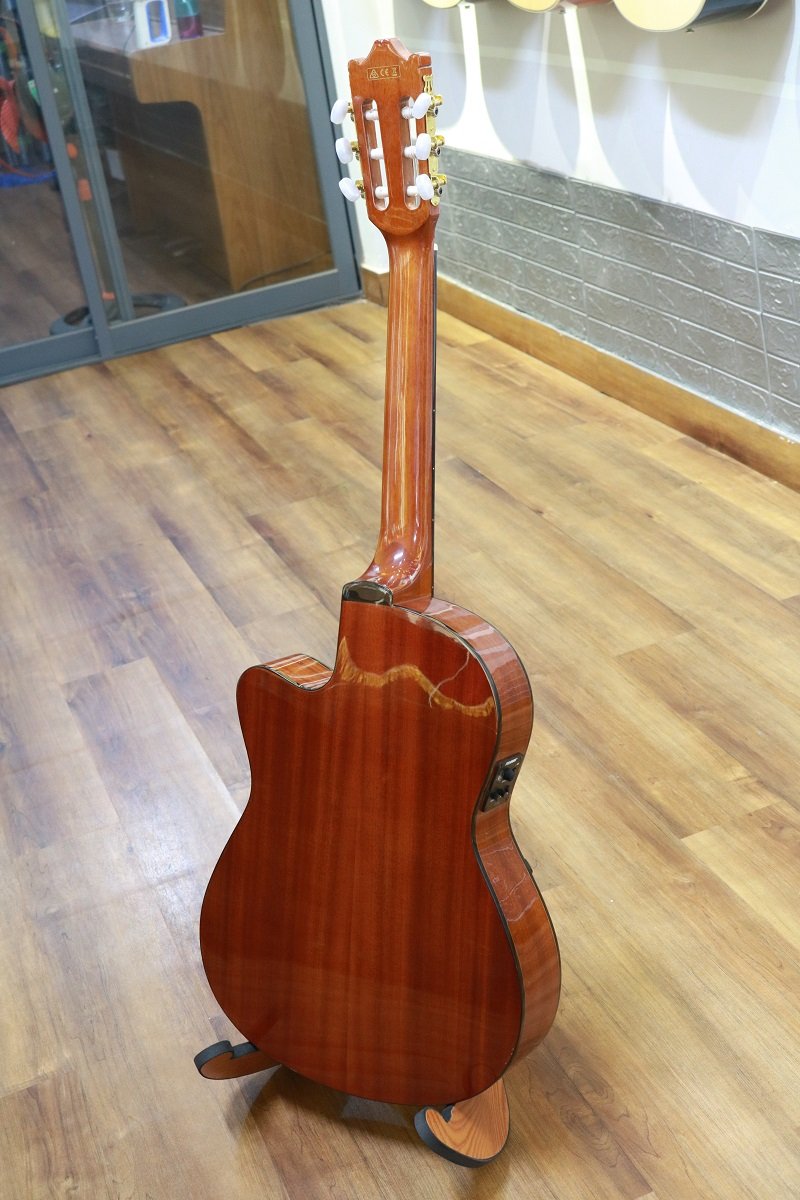 dan-classic-ibanez