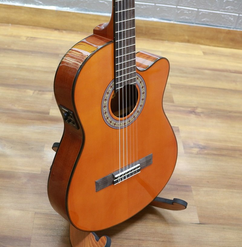 dan-guitar-ibanez