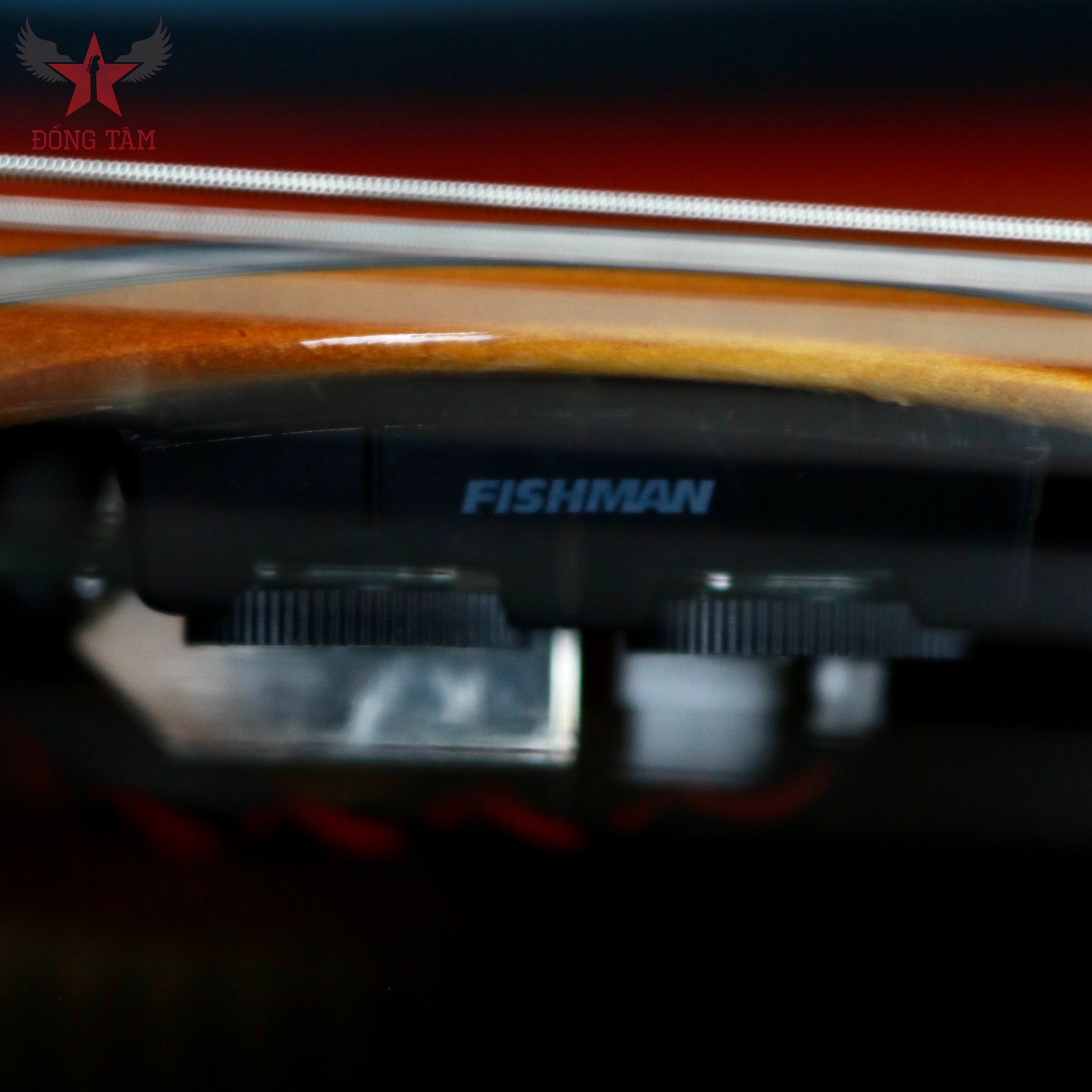 eq-fishman