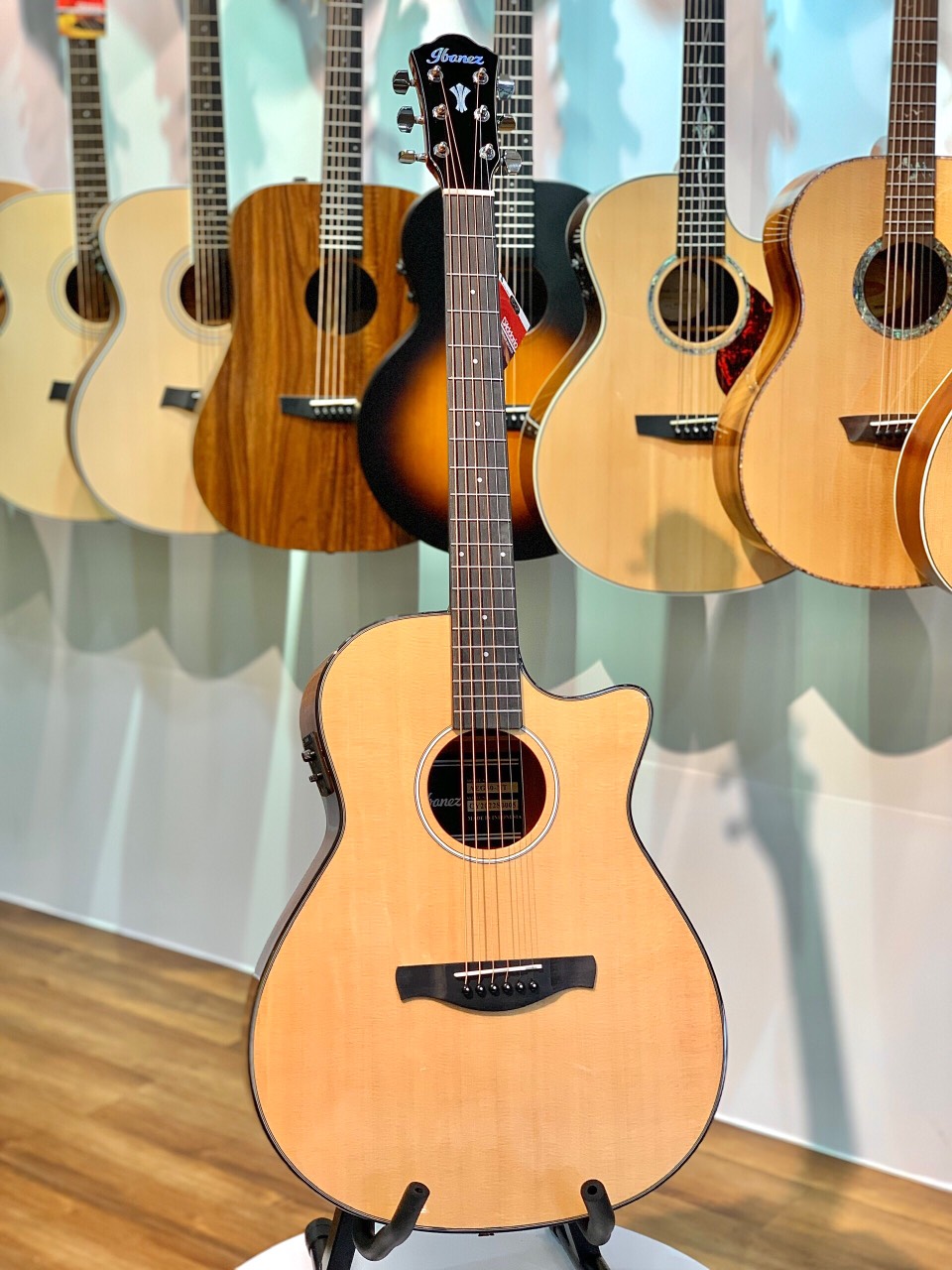 ibanez-aeg50