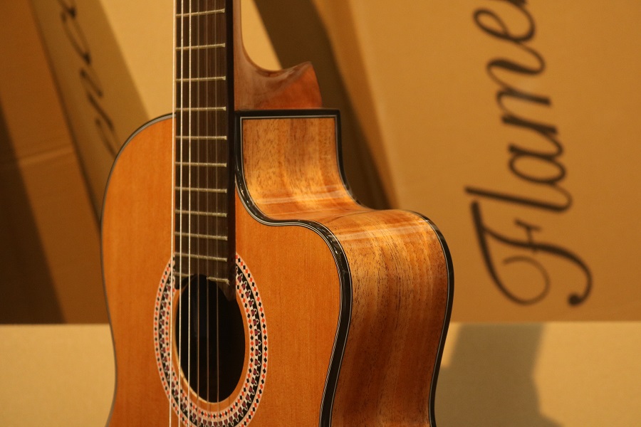 Dưới 7 triệu Có nên mua Flamenco JX-25 CE không ?