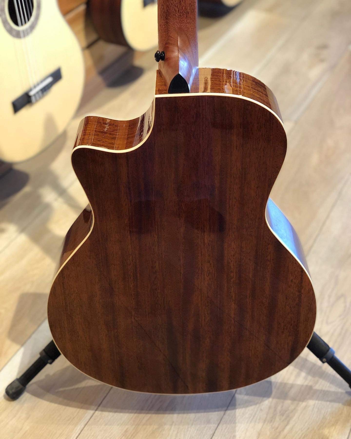 ENYA Q1M SUNBURST 